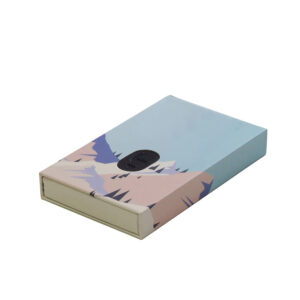 Child Resistant Pre Roll Pack Packaging With Dividers